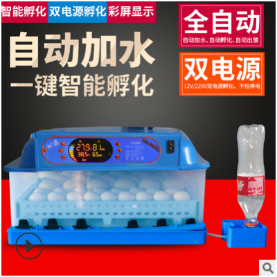 伊科貝特孵化機全自動家雞鴨鵝72枚小型孵蛋器智能控溫可定制110V