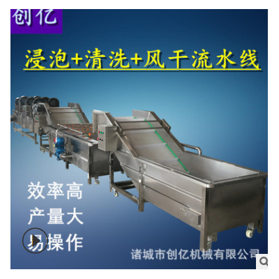 蔬菜浸泡式清洗風(fēng)干線 不銹鋼全自動洗菜機(jī) 果蔬氣泡清洗機(jī)廠家