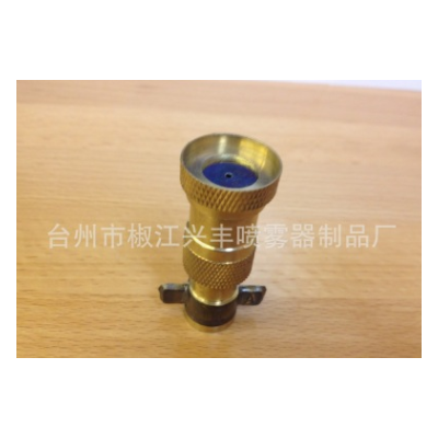 ptt-20噴霧器配件 電動(dòng)噴霧器噴頭 銅單噴頭（?。? onerror=
