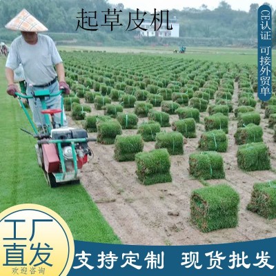 工廠直發(fā)草坪起草機 汽油動力手推起皮機 學(xué)校小區(qū)綠化草坪移栽機