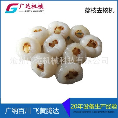 全自動(dòng)商用荔枝去核機(jī) 龍眼去核機(jī) 廠家直銷現(xiàn)貨