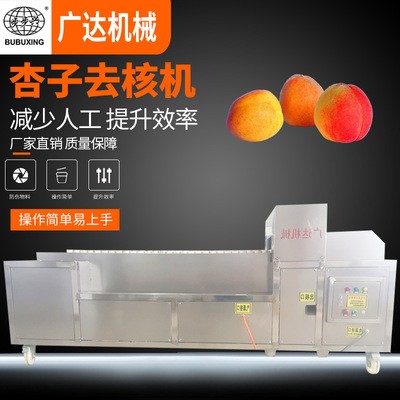 廠家供應(yīng) 杏子去核機(jī) 全自動(dòng)新型去核機(jī) 去核機(jī)