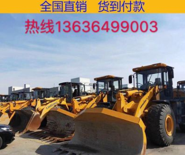 上海現(xiàn)場真品鏟車裝載機30/50裝載機，供應龍工臨工柳工