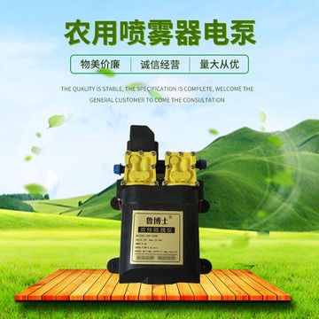 農(nóng)用打藥隔膜泵 12V智能高壓大功率雙泵 電動噴霧器水泵 架子泵