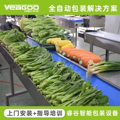源頭廠家 自動(dòng)打透氣孔蔬菜包裝機(jī) 自動(dòng)識(shí)別物料長(zhǎng)短蔬菜包裝機(jī)械