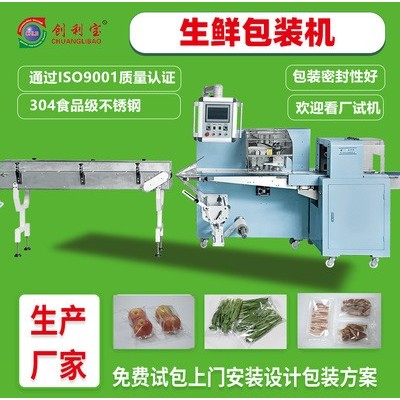 大型生鮮食品枕式包裝機(jī)水果蔬菜肉類(lèi)自動(dòng)食品包裝機(jī)械設(shè)備廠家