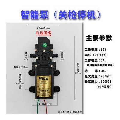 廠家直銷(xiāo)12V隔膜泵智能壓力泵3000轉(zhuǎn)高壓力電動(dòng)噴霧器水泵20W40W