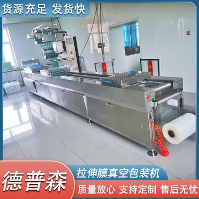 豬肉脯果干包裝機 全自動拉伸膜式包裝設(shè)備 漢堡餅拉伸膜真空機