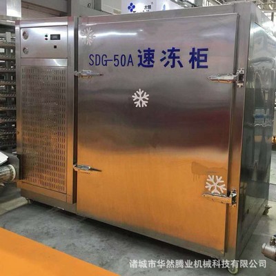 廠家供應(yīng) 壓縮機(jī)式速凍機(jī) 生產(chǎn)餃子液氮速凍柜 水餃小型急凍設(shè)備