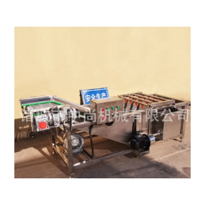 中藥材氣泡清洗機(jī) 商用全自動(dòng)連續(xù)式果蔬清洗設(shè)備 大型氣泡清洗機(jī)