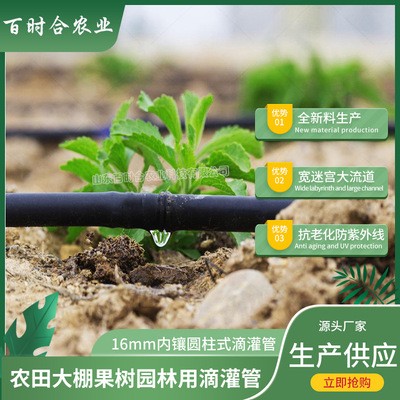 16滴灌管廠家 生產(chǎn)供應(yīng)園林果樹(shù)灌溉農(nóng)用黑色內(nèi)鑲圓柱式滴灌管材