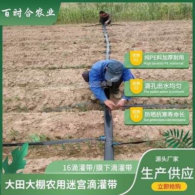 迷宮滴灌帶價(jià)格優(yōu) 廠家生產(chǎn)供應(yīng)膜下大田溫室農(nóng)用迷宮式16滴水帶