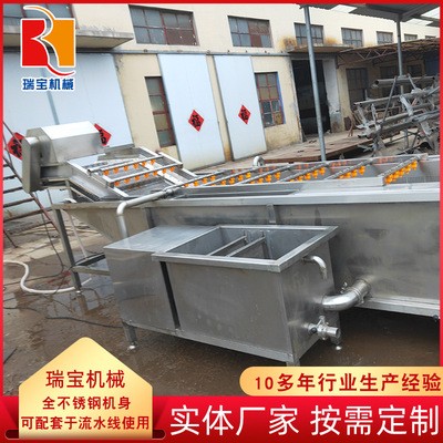 軟包裝袋清洗去污設(shè)備 氣泡式竹筍翻浪清洗機(jī) 毛豆豆角專用清洗機(jī)