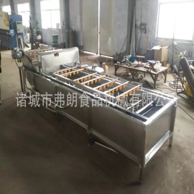 果蔬清洗風(fēng)干分級(jí)成套設(shè)備 商用不銹鋼氣泡清洗機(jī) 荔枝氣泡清洗機(jī)