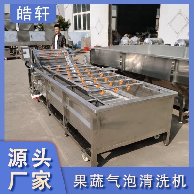 全自動果蔬蔬菜清洗機 氣泡式噴淋豆角蘿卜清洗機 洗菜機設(shè)備