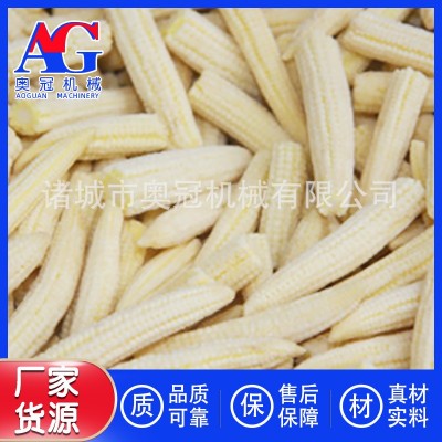 速凍青毛豆制作設(shè)備 隧道式速凍機(jī) 壓縮機(jī)制冷快速冷凍制作機(jī)器