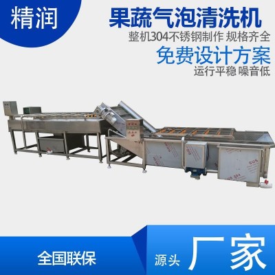精潤水果分級清洗機 杏子桃子清洗機 農(nóng)業(yè)項目設備