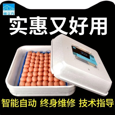 暖立方廠家長期供應(yīng)批發(fā)小型全自動孵化機家用型孵化器小雞孵化器