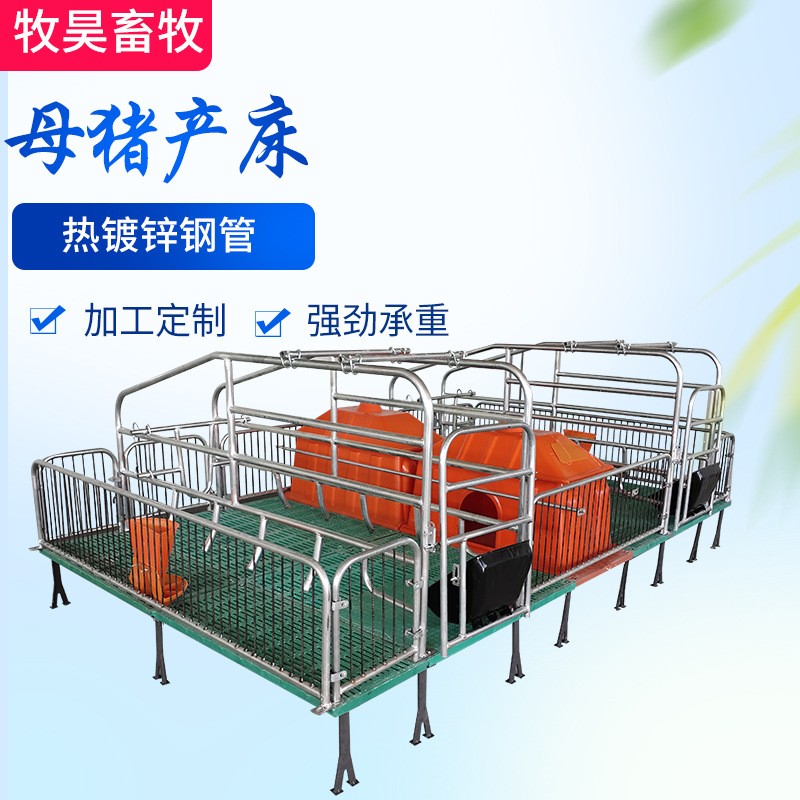 母豬產床復合板分娩產床熱鍍鋅雙體產床定位欄保育床豬用養(yǎng)殖設備