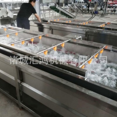紅棗全自動清洗機(jī) 鮮棗水果氣泡清洗線 連續(xù)洗棗機(jī)器廠家