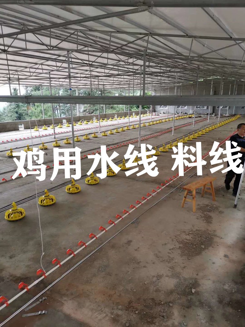雞用自動水線 肉雞料線 散養(yǎng)雞自動水線 料線 雞用水線 雞用料線