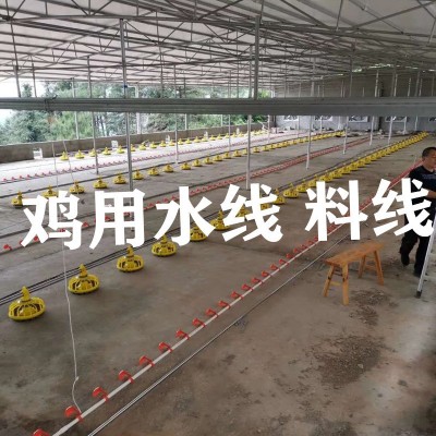 雞用自動(dòng)水線 肉雞料線 散養(yǎng)雞自動(dòng)水線 料線 雞用水線 雞用料線