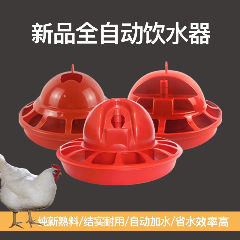 廠家批發(fā)自動雞用飲水器 喂水器鳥水壺水桶 雞飲水器貼牌