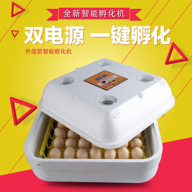 伊科貝特42枚孵化機 小型孵化機 家庭微型孵化器 孵化箱 出口產(chǎn)品