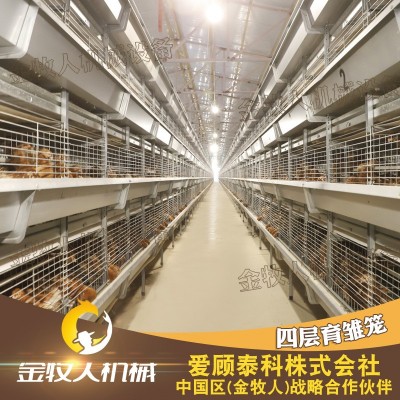 大量批發(fā)雞籠 小雞籠育雛籠 自動(dòng)化養(yǎng)殖籠具 雞苗育雛籠子
