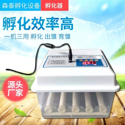 批發(fā)孵化機(jī) 小型全自動(dòng)智能家用迷你孵蛋器雞鴨鵝鴿子incubator