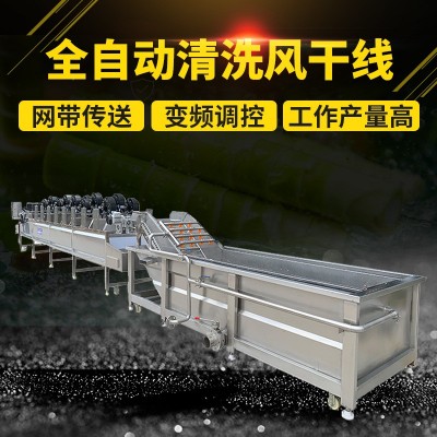 大葉類蔬菜氣泡清洗機 海鮮高壓氣泡清洗機 現(xiàn)貨銷售