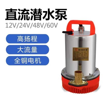 直流電瓶泵小型家用抽水泵電瓶車電動(dòng)車抽水泵12V24V48V60V高揚(yáng)程