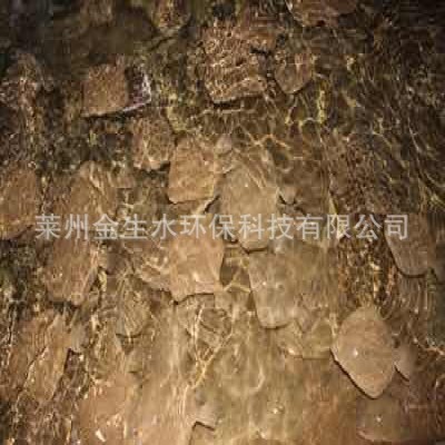 多寶魚(yú)工廠化循環(huán)水無(wú)公害養(yǎng)殖 多寶魚(yú)養(yǎng)殖
