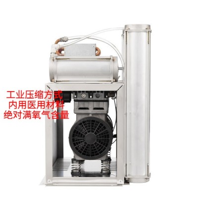 廣州廠家現(xiàn)貨工業(yè)10L制氧機高濃度分子篩吸氧機可出口氧氣濃縮器