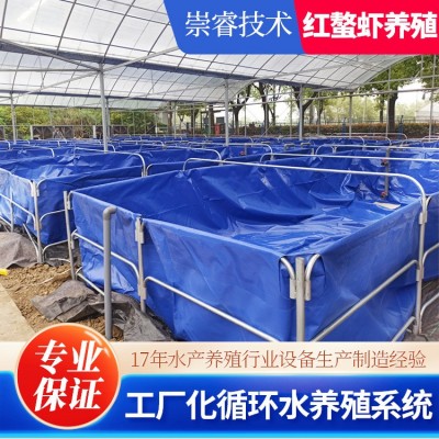 江蘇項目澳洲淡水龍蝦工廠化高密度水產(chǎn)養(yǎng)殖循環(huán)水系統(tǒng)