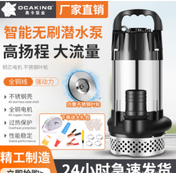 無(wú)刷直流潛水泵高揚(yáng)程48V60V72V伏通用電動(dòng)車(chē)電瓶車(chē)抽水泵抽水機(jī)