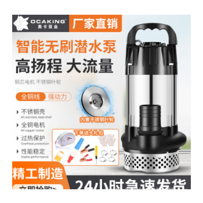 無刷直流潛水泵高揚程48V60V72V伏通用電動車電瓶車抽水泵抽水機