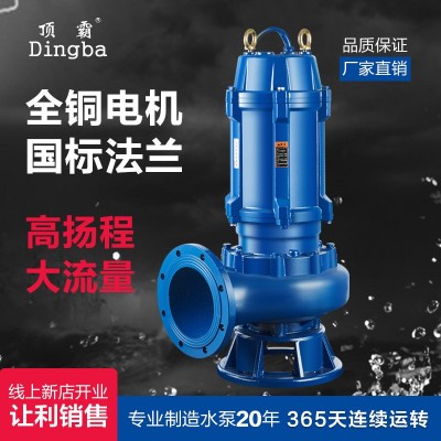廠家供應(yīng)立式潛水泵220V380V工程處理污水泵無堵塞工業(yè)排污離心泵