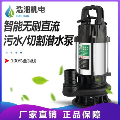 浩沺廠家直銷化糞沼氣池排污泵1寸1.5寸48-72v高揚(yáng)程潛水泵污水泵