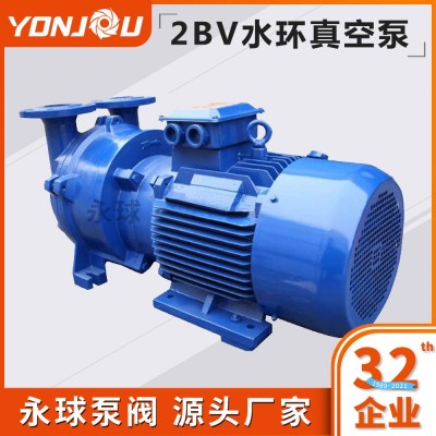 2BV水環(huán)式真空泵循環(huán)水真空泵真空泵機組廠家直銷