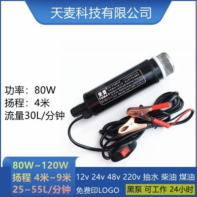Temay潛水24v摩托車抽水泵加油器微型電動(dòng)抽水抽油泵12v直流水泵
