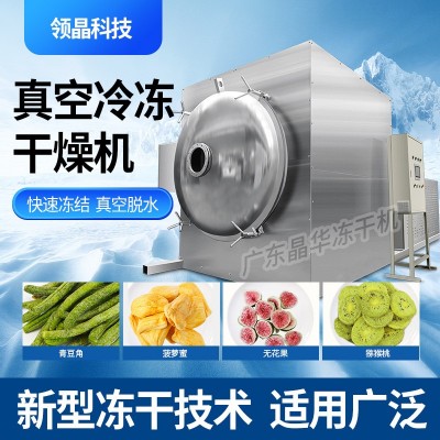 領(lǐng)創(chuàng)晶華凍干機(jī)加工大型真空冷凍干燥機(jī)設(shè)備中藥水果蔬菜寵物商用