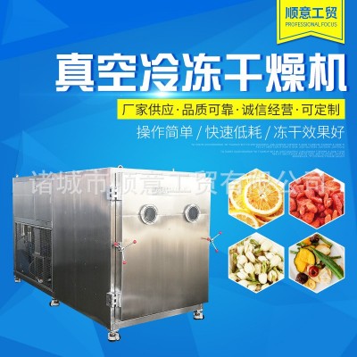 真空凍干機(jī)商用 寵物食品真空冷凍干燥機(jī) 果蔬藥材大型凍干設(shè)備