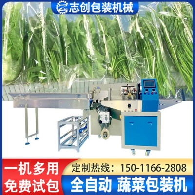 全自動(dòng)枕式蔬菜包裝機(jī) 生鮮青菜瓜果裝袋打包機(jī) 超市葉菜包裝設(shè)備
