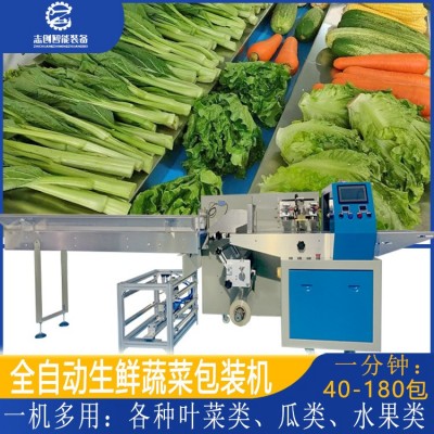 工廠現(xiàn)貨全自動(dòng)蔬菜包裝機(jī) 豆芽胡蘿卜香蕉套袋打包機(jī) 水果包裝機(jī)
