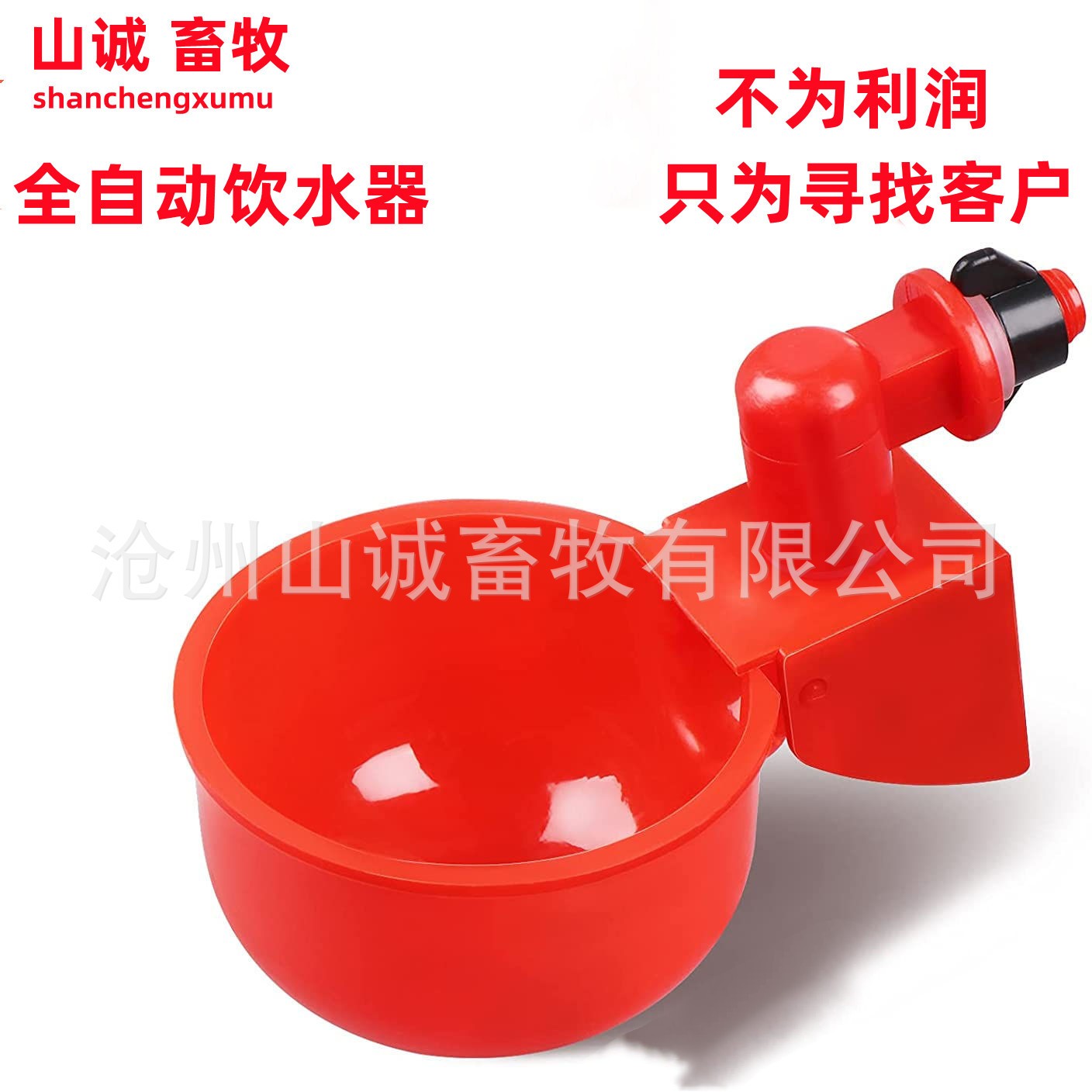 新型雞鴨鵝自動(dòng)飲水碗飲水器喂鴿子水碗鳥飲水器鵪鶉家禽養(yǎng)殖設(shè)備