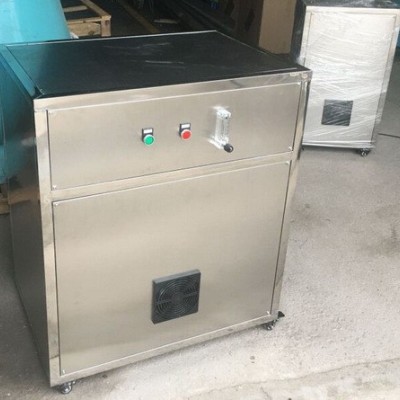 循環(huán)水養(yǎng)殖 純氧發(fā)生器 制氧機(jī)10L/min