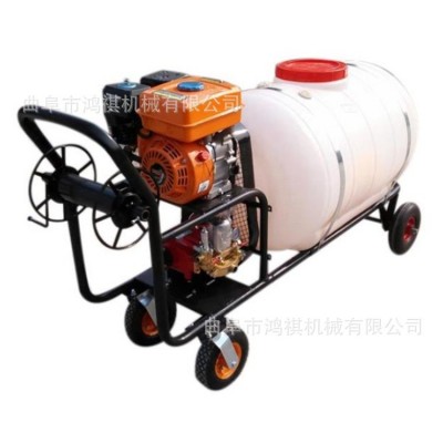 黃石 農(nóng)藥高壓打藥機 手推式打藥機 農(nóng)用小型推車噴霧機2