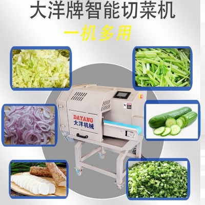 智能切菜機 帶調(diào)速型山藥切片設(shè)備尺寸可調(diào) 切蔥段機器