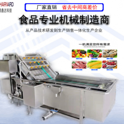 罐頭廠旋流清洗機(jī)供應(yīng) 蘋果橘子洗果機(jī) 食品廠加工生產(chǎn)流水線